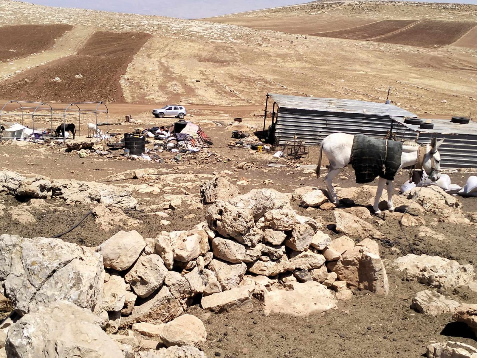 Palestinian Bedouin community forced to leave their homes due to settler attacks 