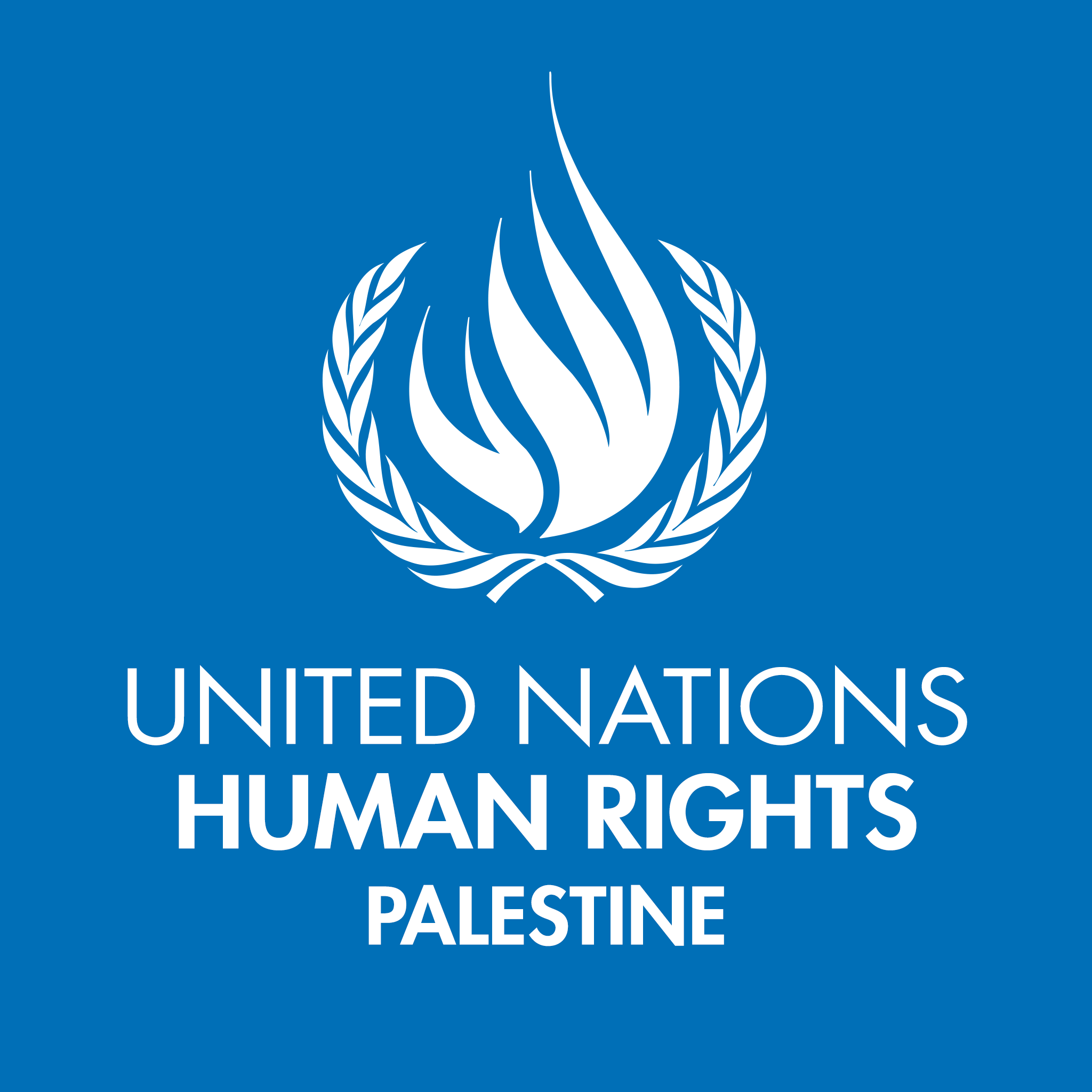 OHCHR says ‘shocked’ by Israel’s killing of a Palestinian youth in Jerusalem