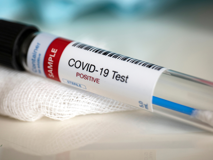 Palestine registers 824 coronavirus infections, 14 deaths