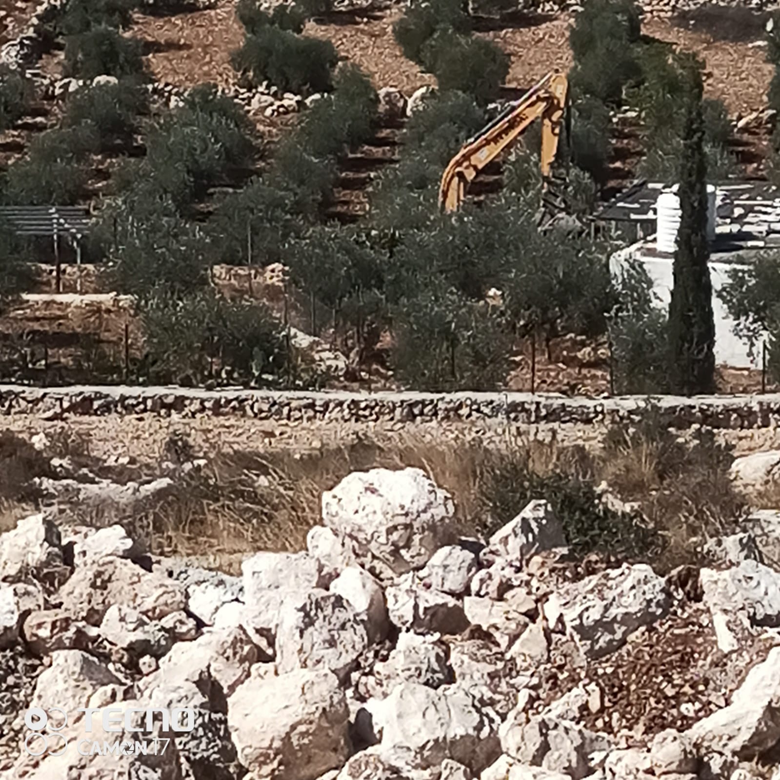 Israeli forces bulldoze over 20 dunums of land, destroy hundreds of trees west of Hebron 