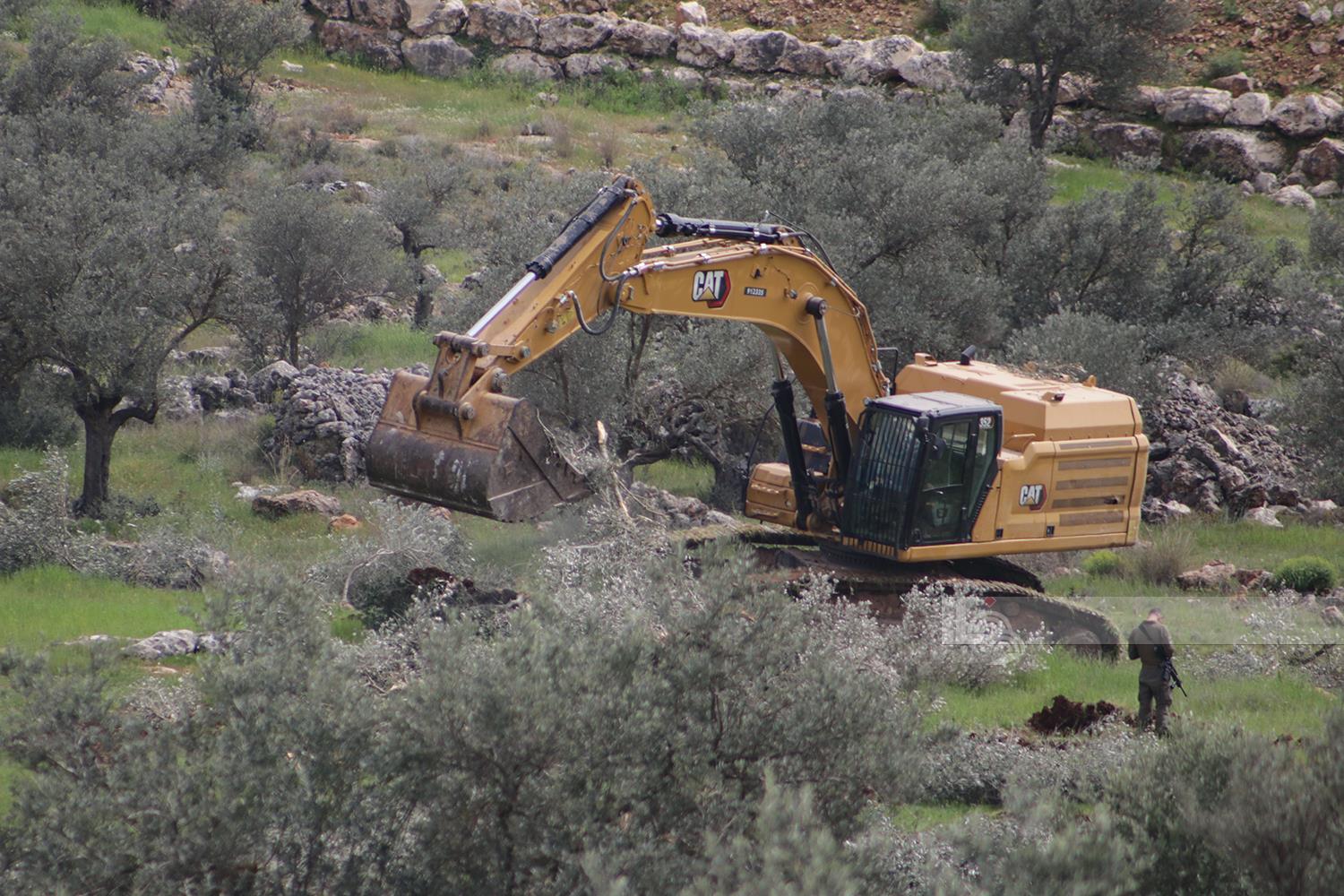 Occupation forces uproot hundreds of olive trees in Deir Qadis and Kharbatha Bani Harith (Photo: Mohammad Abu Zeid/WAFA)