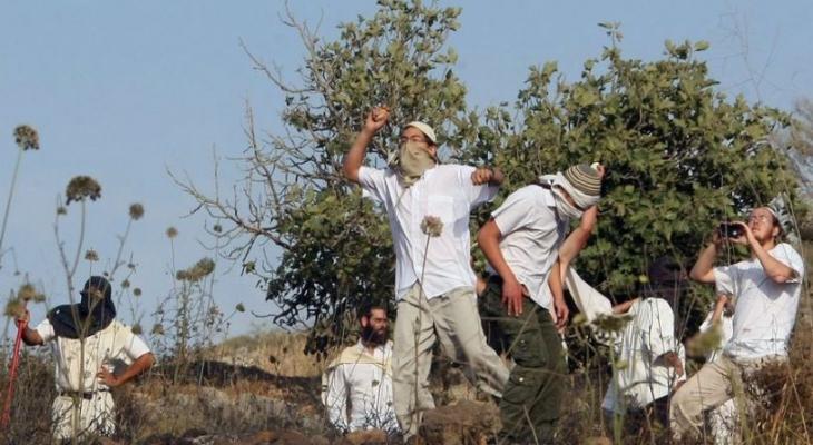 Settlers attack Palestinian farmers south of Nablus 