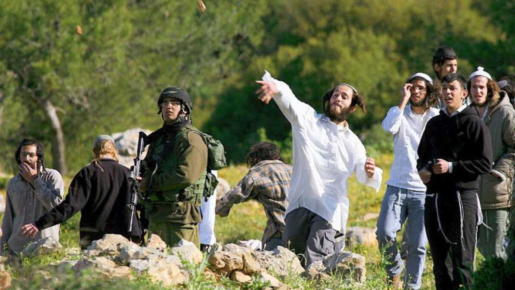 Israeli settlers attack Palestinian houses near Nablus