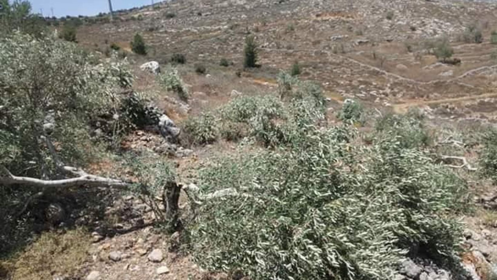 Israeli forces level large tracts of land for benefit of project serving Israel’s national water company, Mekorot