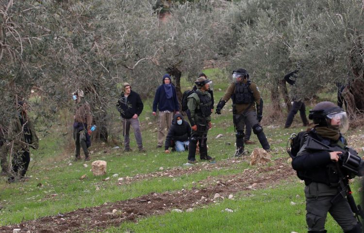 Israeli colonists attack olive pickers near Nablus