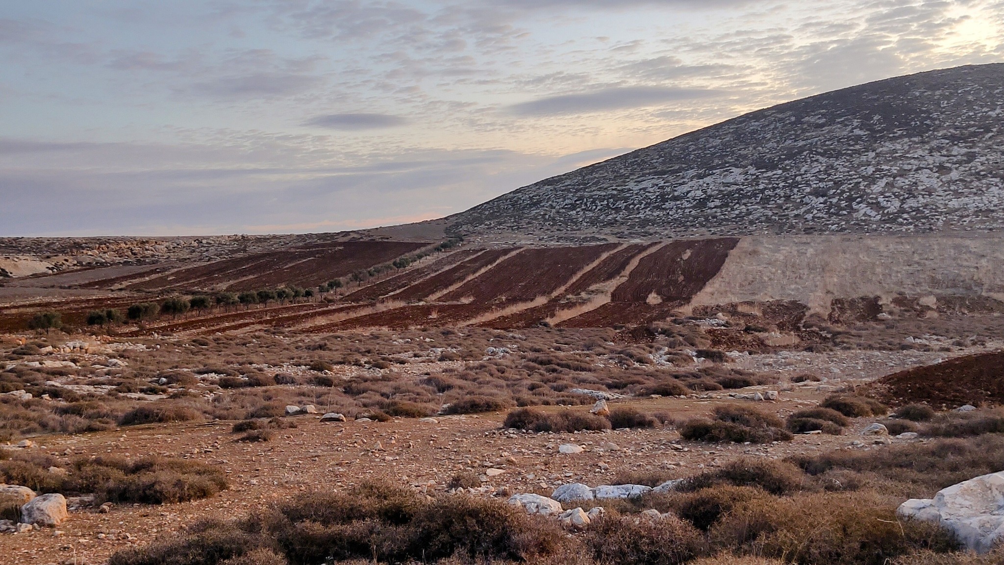 Colonists bulldoze Palestinian land northeast of occupied Jerusalem