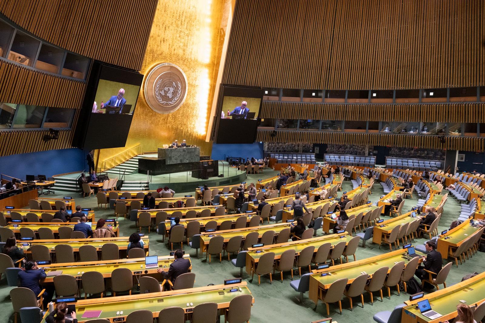 UN General Assembly adopts two resolutions regrading situation in Palestine