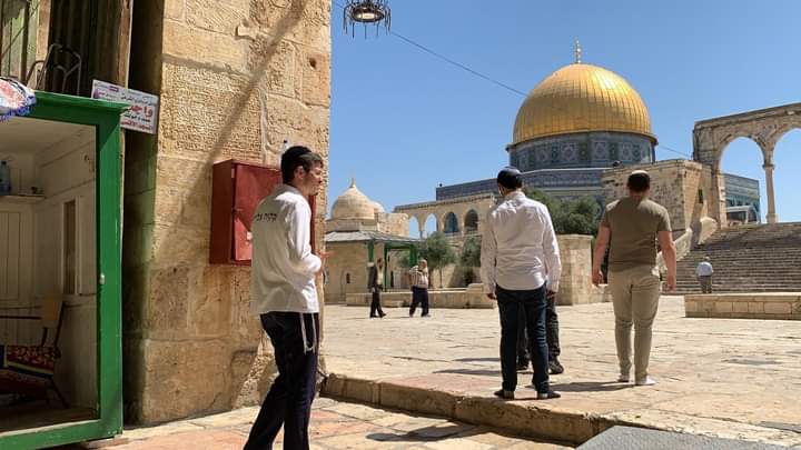 Scores of Israeli settlers break into Al-Aqsa 