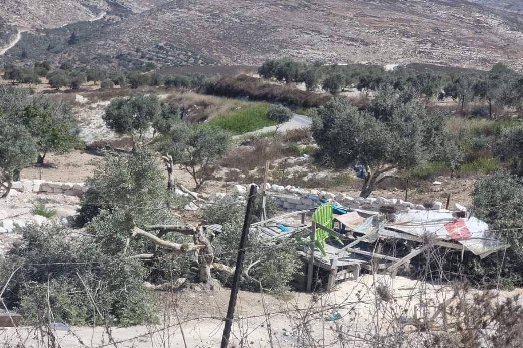 Colonists attack Palestinian farmland south of Jenin 
