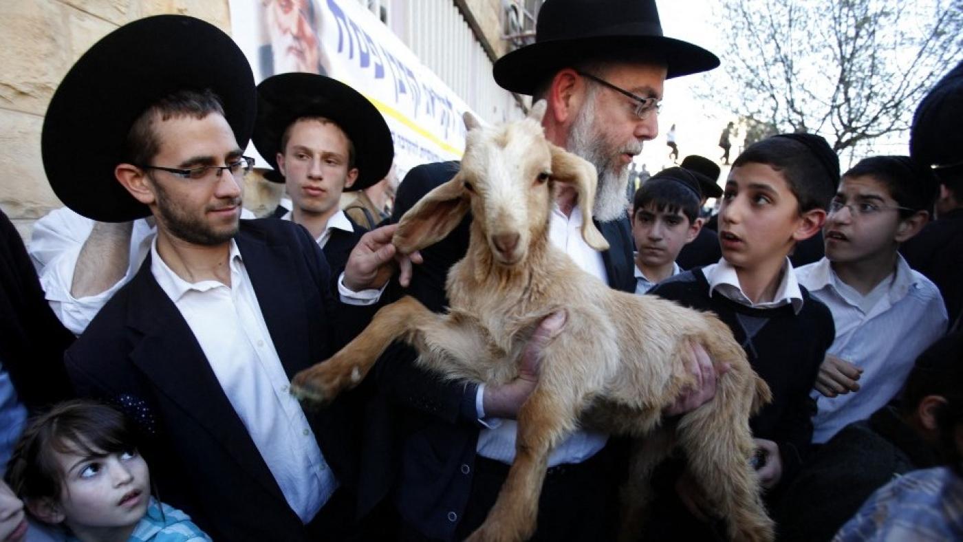 Colonists attempt slaughtering animals inside Jerusalem's Aqsa Mosque 