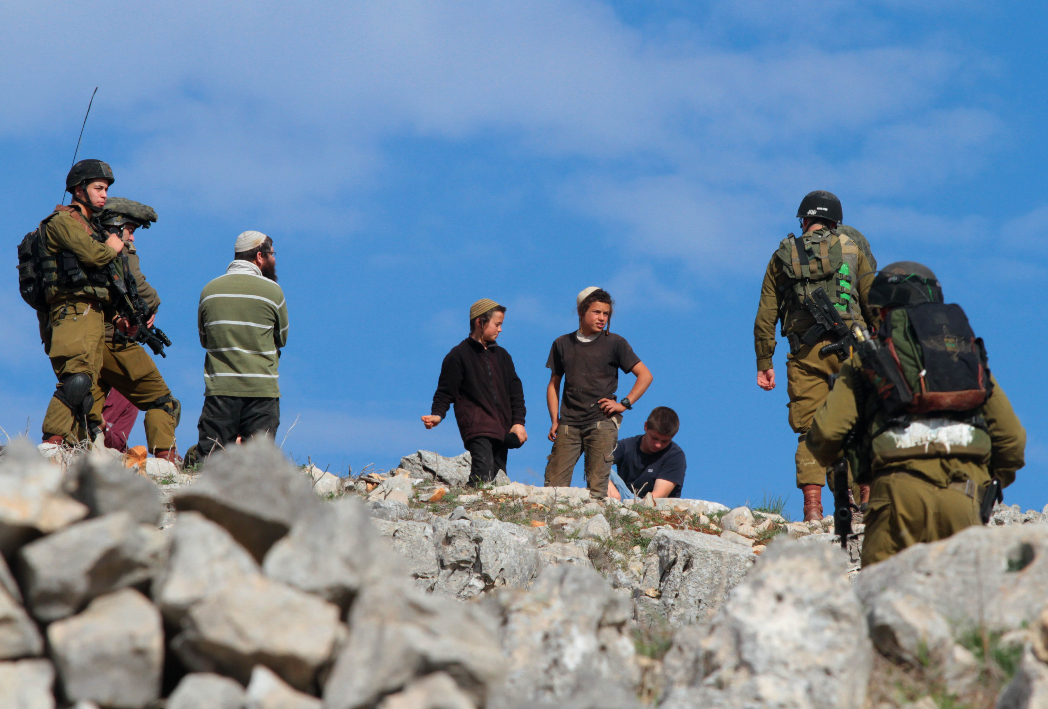 Israeli settlers destroy, uproot and steal olive trees in Salfit-area town 