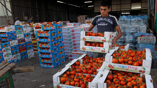 Palestinian Economy is expected to recover and grow in 2021