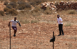 Israeli settlers assault cattle shepherd in northern Jordan Valley