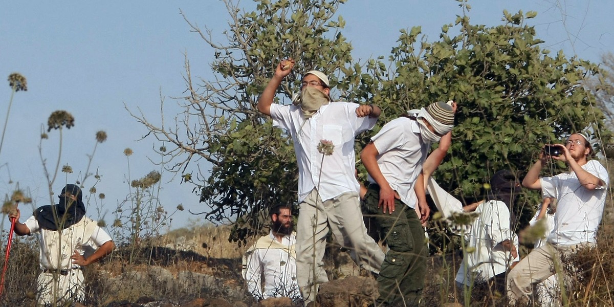 Israeli settlers chop down dozens of olive trees south of Bethlehem