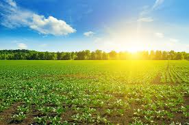 Weather: Hot with temperature 2°C above season average