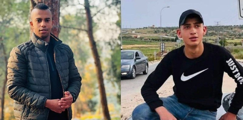 Two Palestinians killed in an Israeli army assault near Jenin