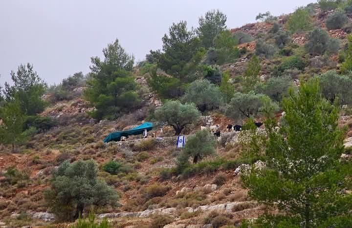 Colonist seizes land, sets up tent north of Ramallah
