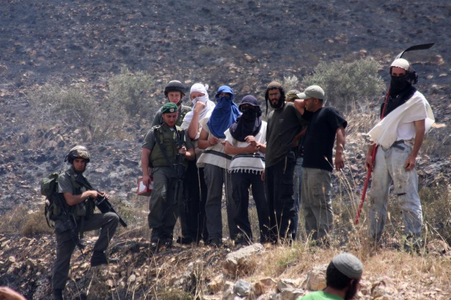 Settlers assault Palestinian livestock herders south of Hebron