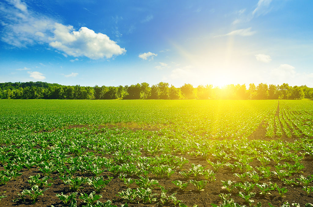 Weather: Rise in temperature to become 3°C above the average