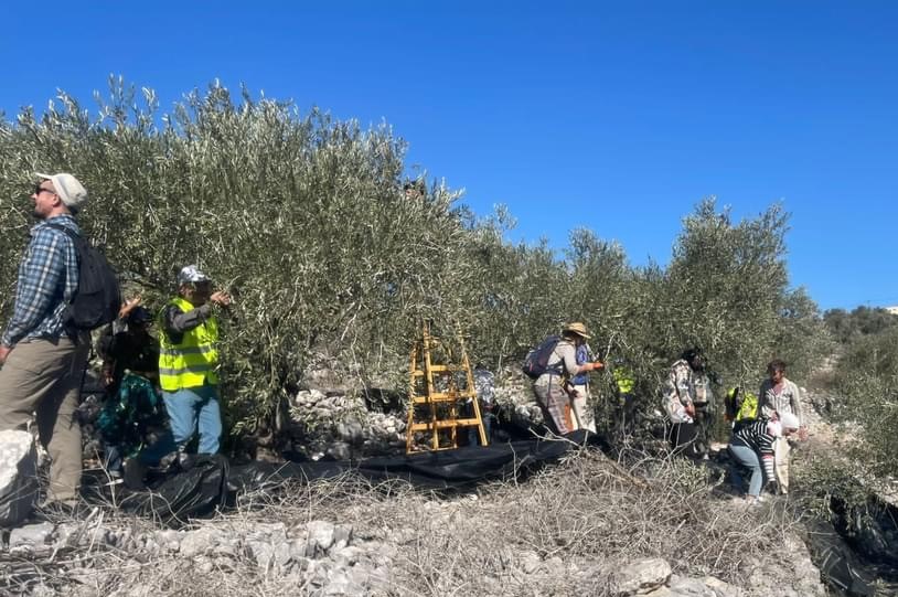 Several Palestinian farmers, international activists suffocated in attack by Israeli forces and colonists in Tulkarm  