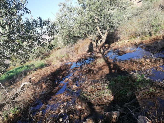 Israeli settlers flood Palestinian village land with wastewater