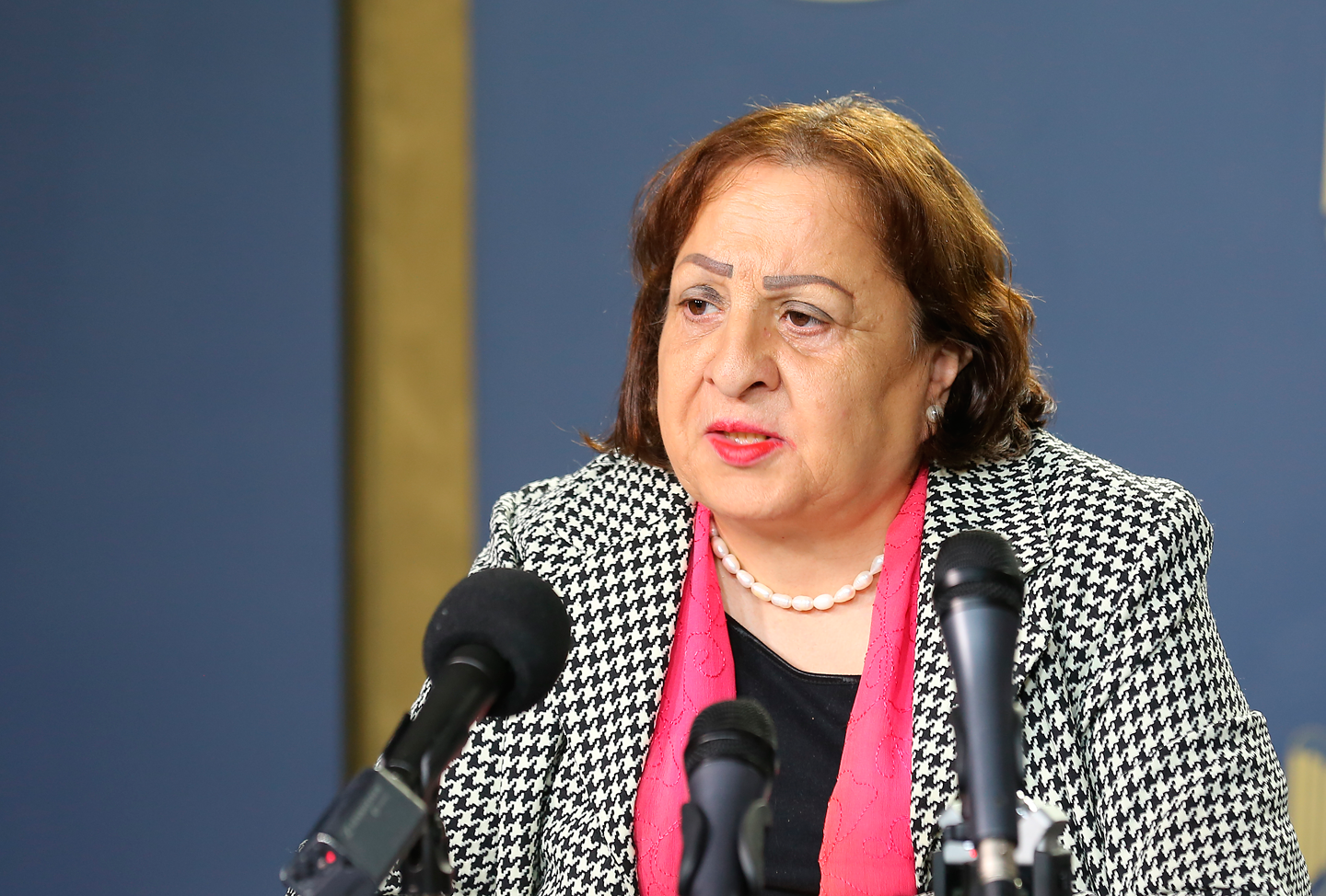 Health Minister says Palestine to gradually receive million Pfizer doses