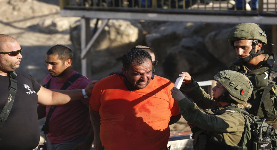 Occupation forces detain 10 Palestinians, including five children