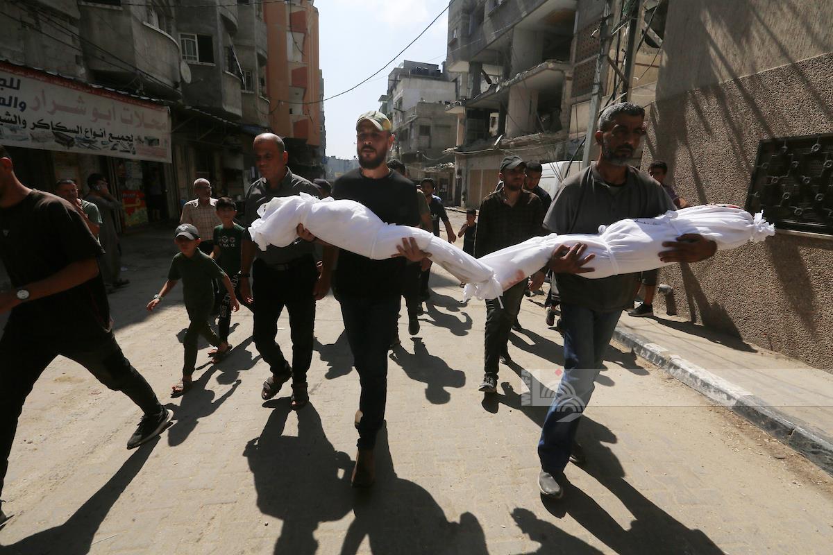 Three Palestinians killed by Israeli bombardment in Gaza