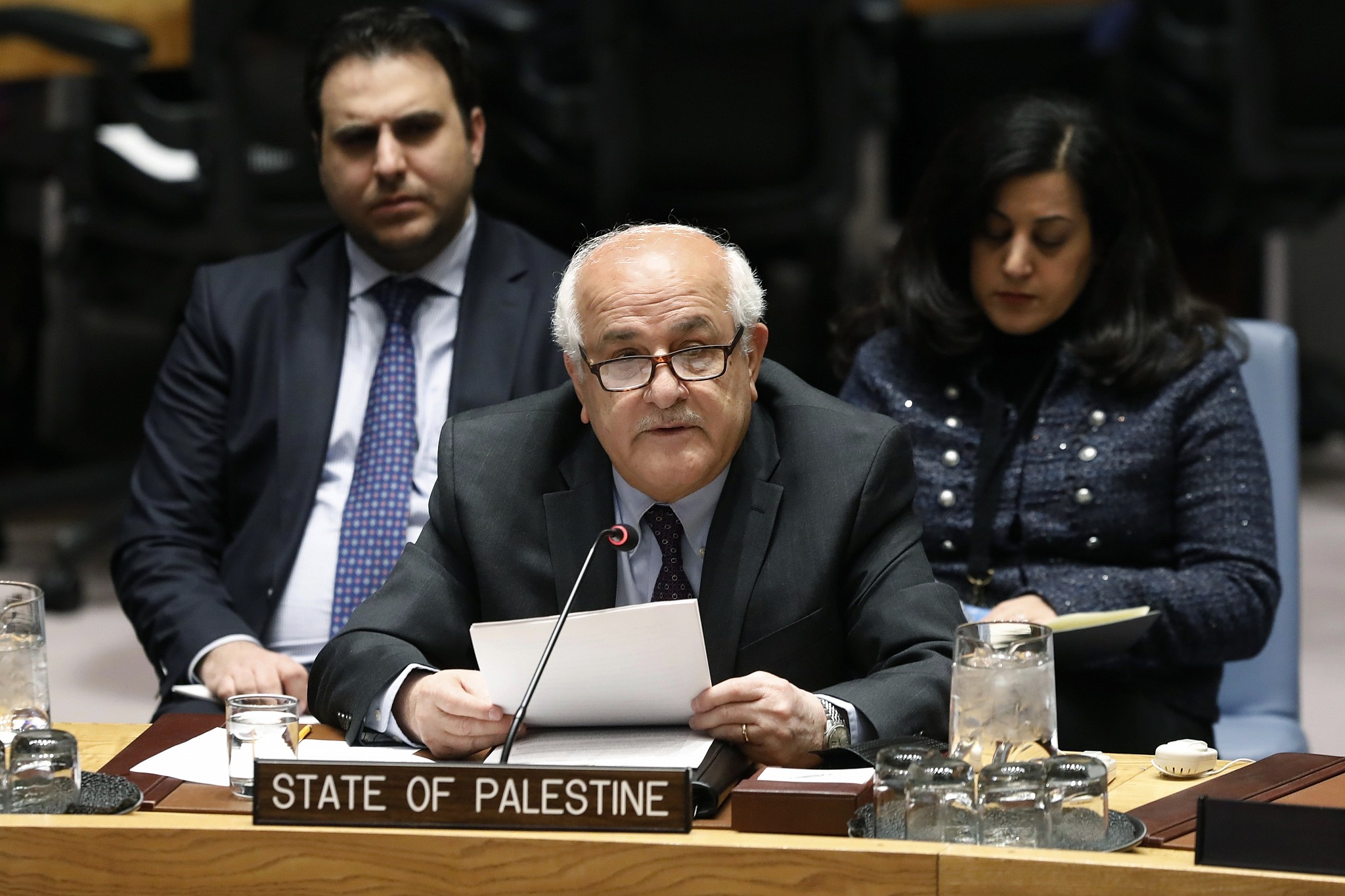 Palestine’s UN Permanent Observer: Security Council should have called for a ceasefire