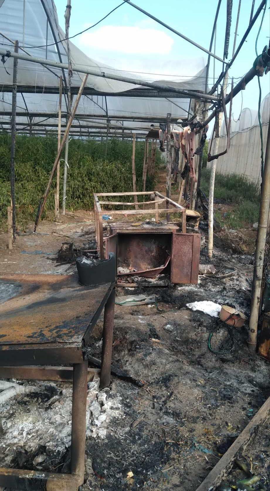 Heavy firing of flash bombs by Israeli forces causes fire to break out in greenhouses in northern Tulkarem