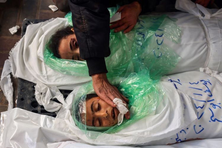 Death toll of Palestinians killed by Israel in Gaza jumps to 29,195 