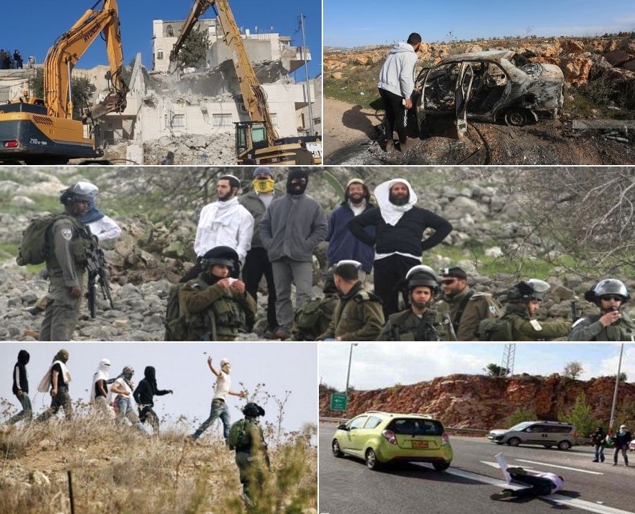 Israeli authorities seize 27,000 dunums after October 7th on 48th  anniversary of Land Day 