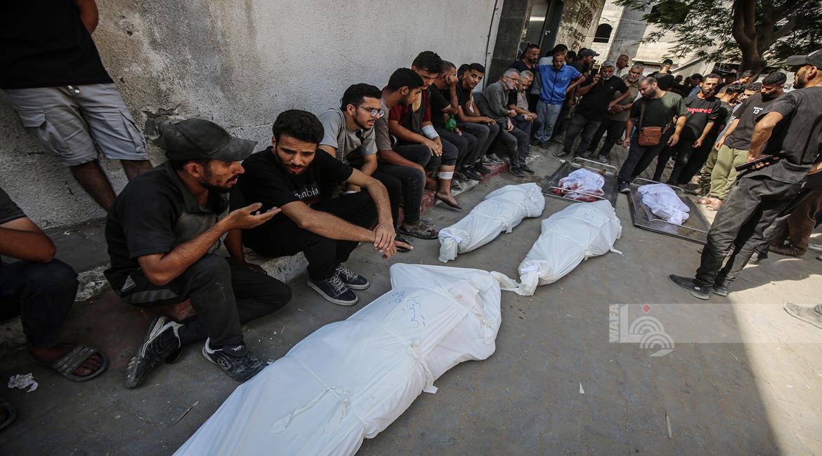 35 bodies recovered across Gaza as Israeli attacks continue despite ceasefire   