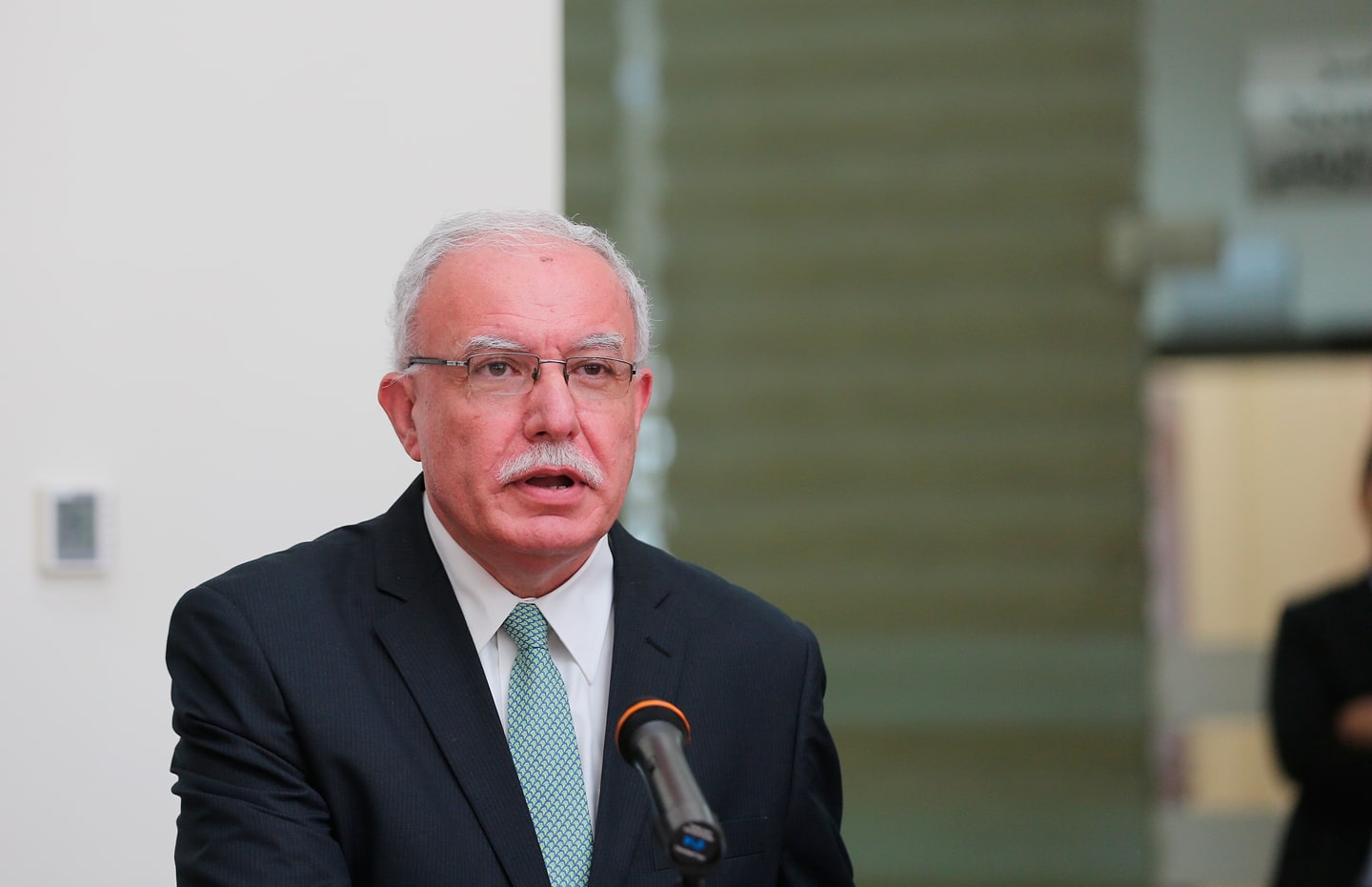 Foreign Minister hails UN vote in favor of Palestinians’ right to self-determination