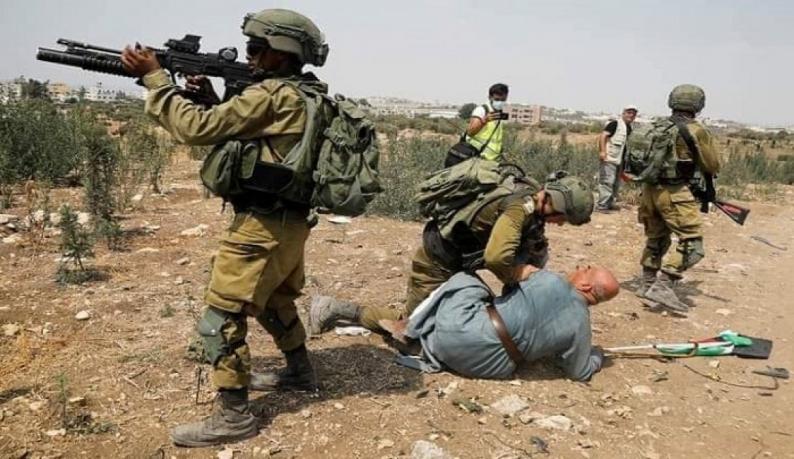 Elderly anti-occupation activist among five Palestinians detained by Israeli forces in the occupied territories