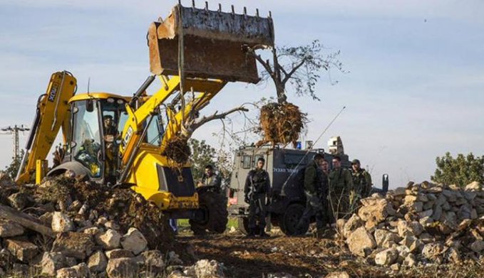 Settlers raze agricultural land, uproot trees in northern West Bank village