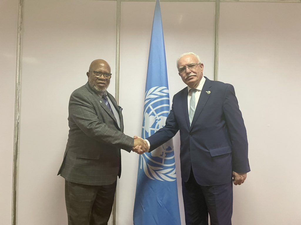 Foreign Minister Malki briefs President of UN General Assembly on challenges facing Palestinian issue amid ongoing Israeli aggression 