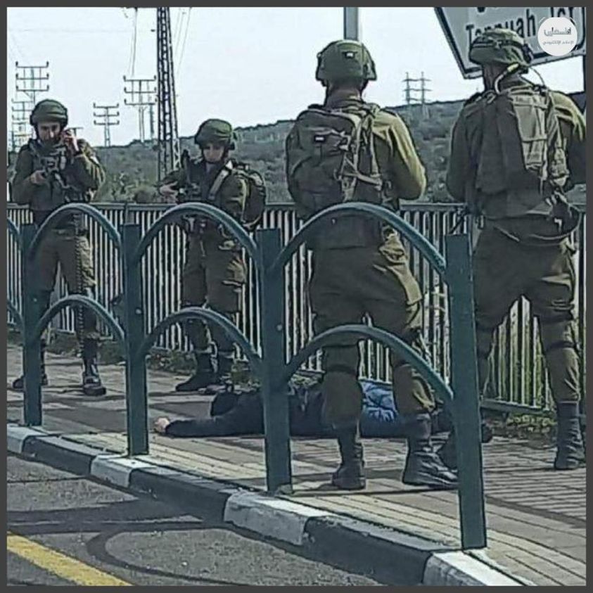 Pulling the trigger is the first resort: Euro-Med report reveals surge in Israeli violence against Palestinians