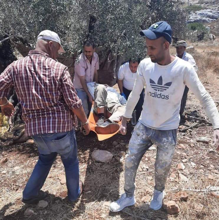 Palestinian elderly brutally assaulted by Israeli settlers near Tulkarm  