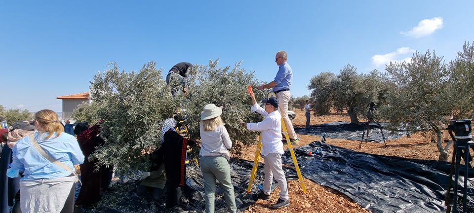 UK, EU and likeminded Heads of Mission join Palestinian farmers in olive harvesting