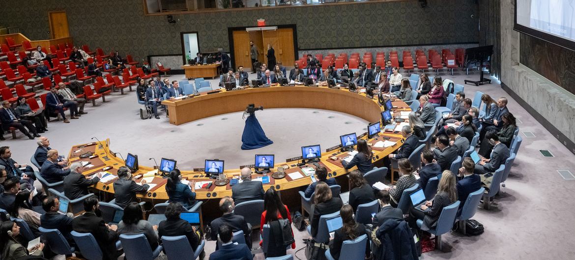 UPDATE: UN Security Council holds emergency meeting on collapse of Gaza health system