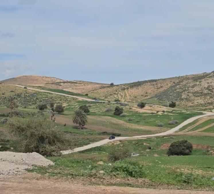 Colonists open new colonial road connecting to illegal outpost in northern Jordan Valley