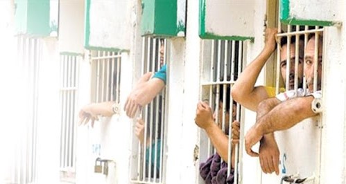 Prisoners' advocacy, human rights groups appeal to UN, diplomatic missions to provide protection for Palestinian prisoners in Israel