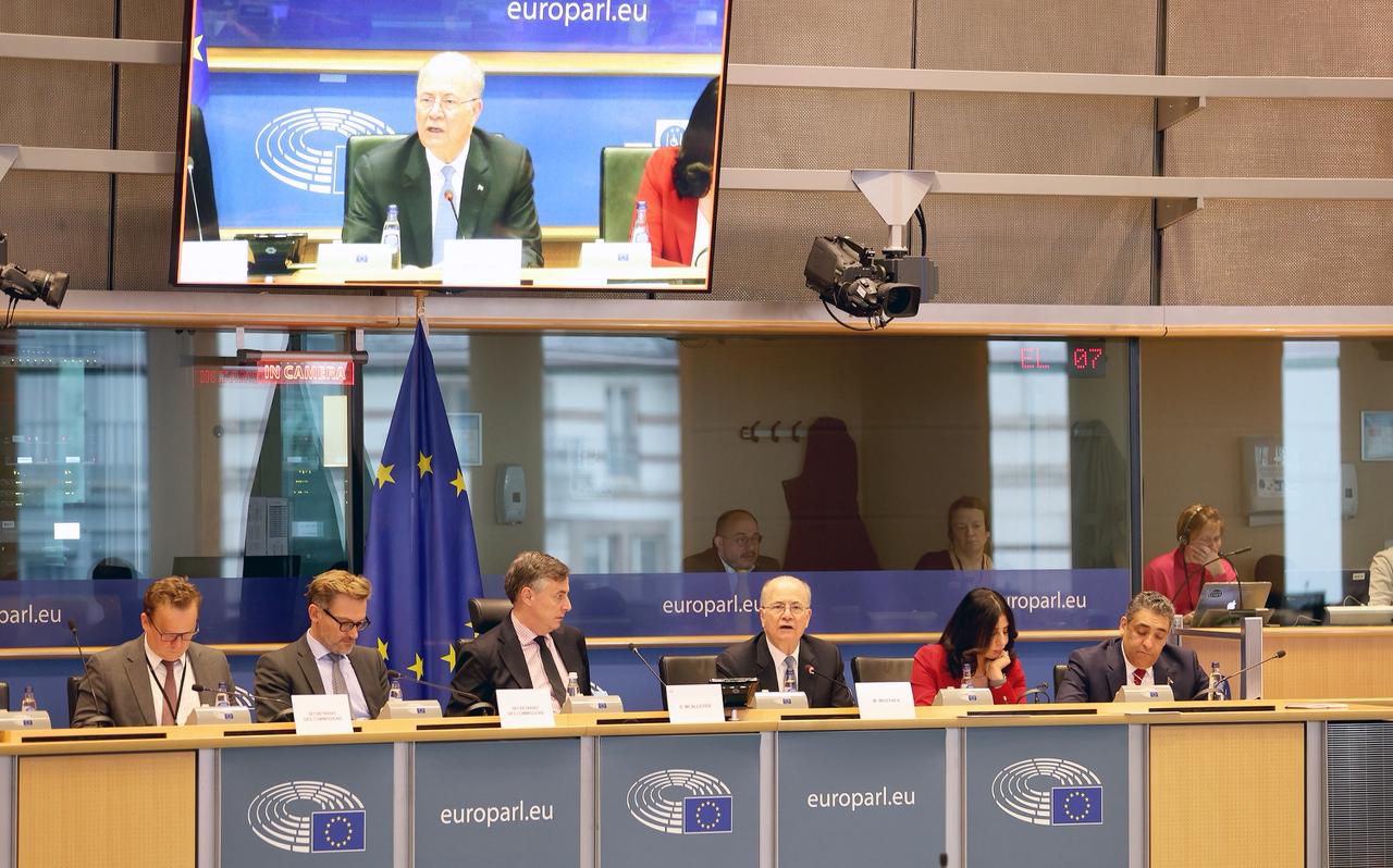 Prime Minister briefs European Parliament Leaders on Gaza ceasefire, West Bank escalations, and reconstruction efforts