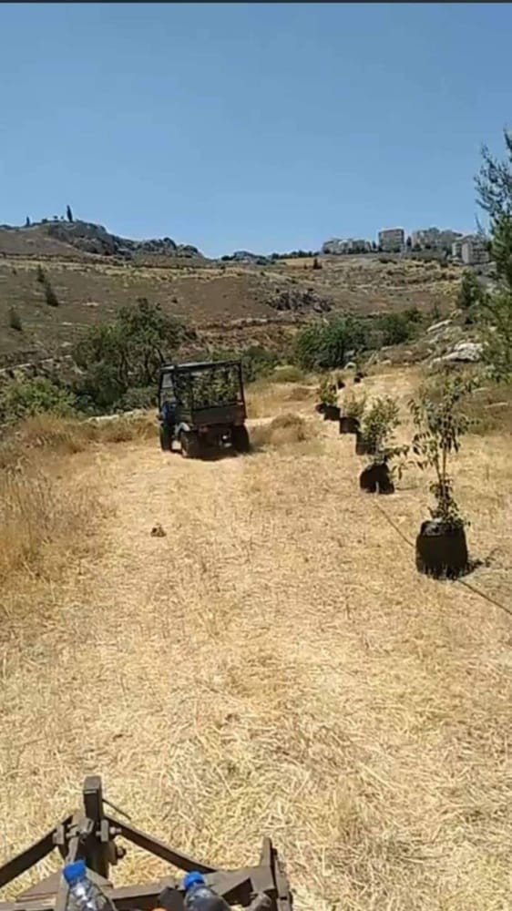 Israeli settlers steal 10 dunums of Palestinian-owned land south of Bethlehem