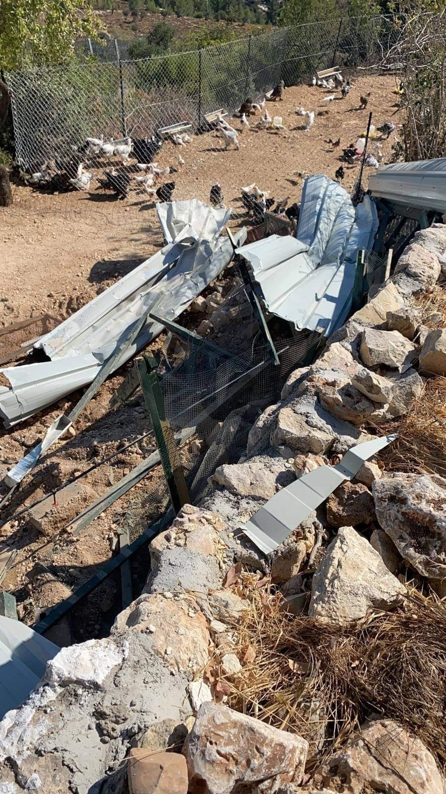 Israeli forces tear down chicken farm in Bethlehem-district village
