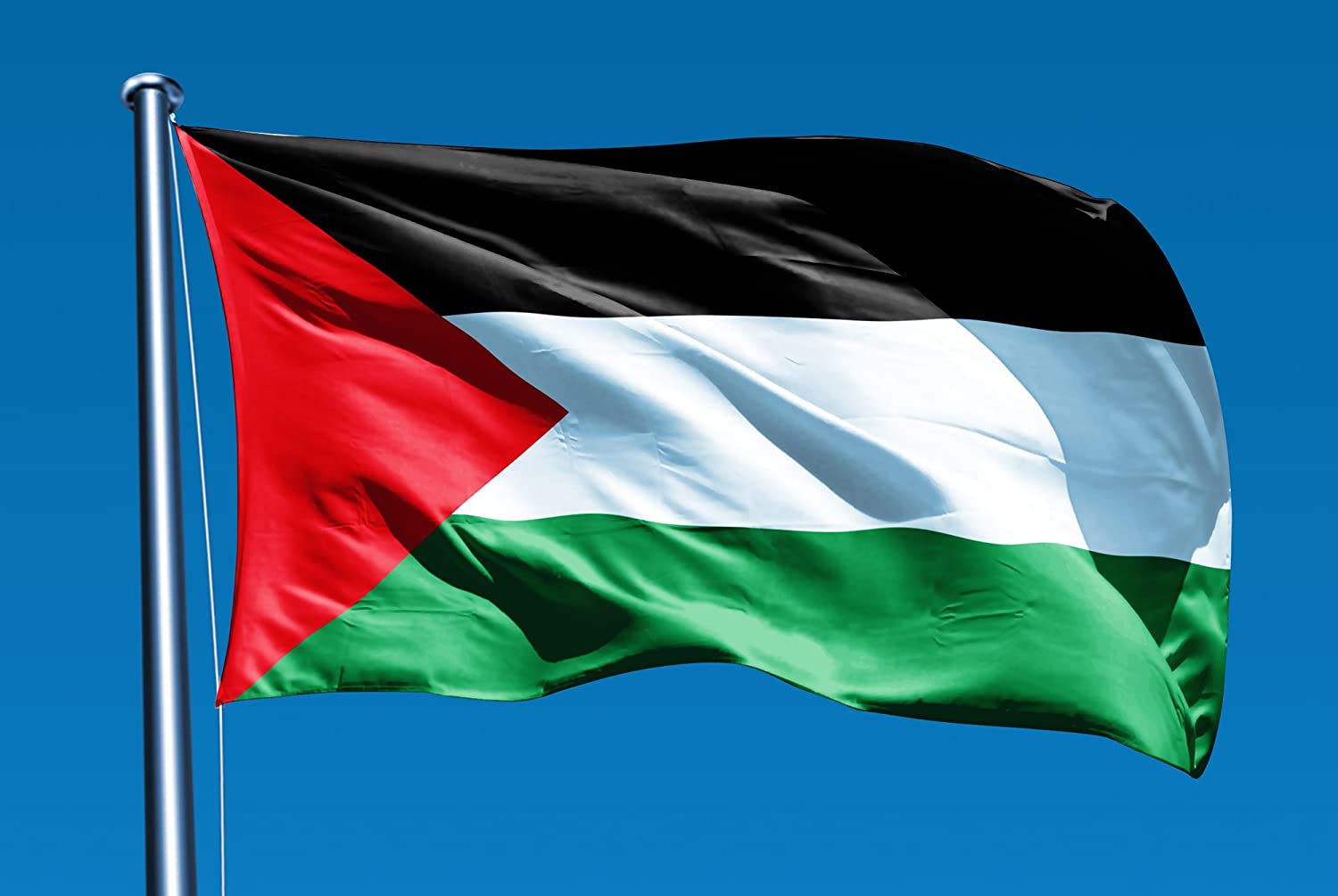 Palestine welcomes ICC’s decision to issue arrest warrants for Netanyahu, Gallant