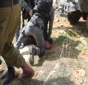 Israeli army demolishes house under construction, water well, and detains their elderly owner
