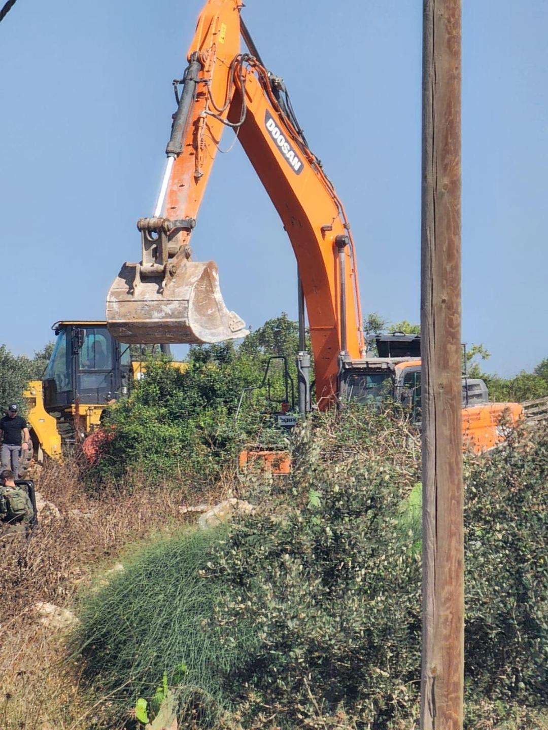 Israeli forces uproot about 60 olive trees west of Jenin 