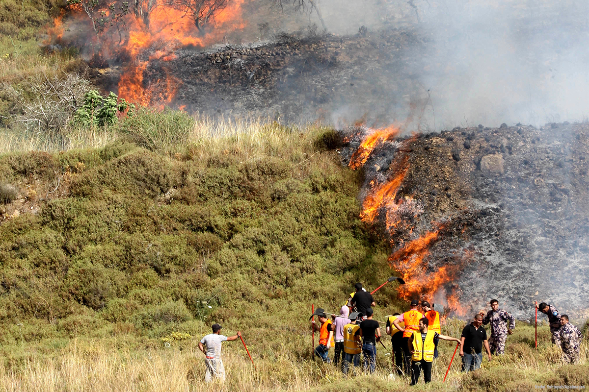 Israeli settlers set fire to agricultural land to the south of Nablus 